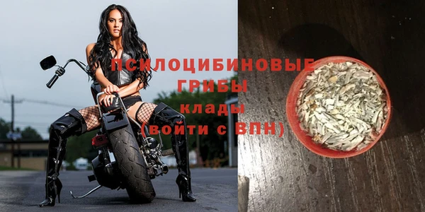 apvp Арсеньев