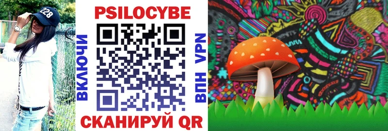 купить закладку  Бологое  Галлюциногенные грибы MAGIC MUSHROOMS 